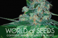       World Of Seeds