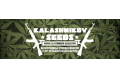    Kalashnikov Seeds