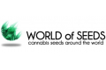   World Of Seeds    Samsara